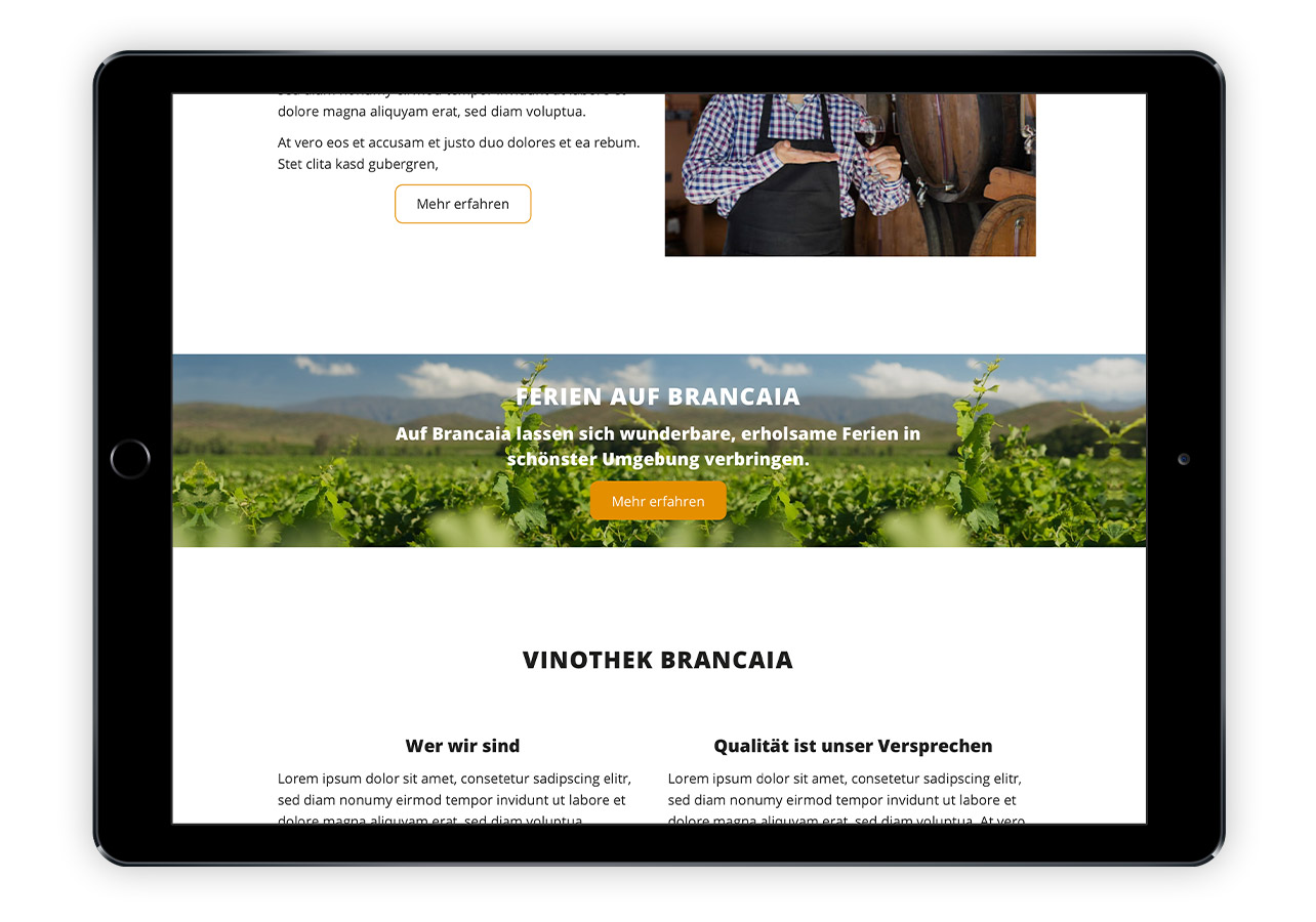 Abbildung von Startseite zu Brancaia-Weinshops mit Bild in voller Seitenbreite