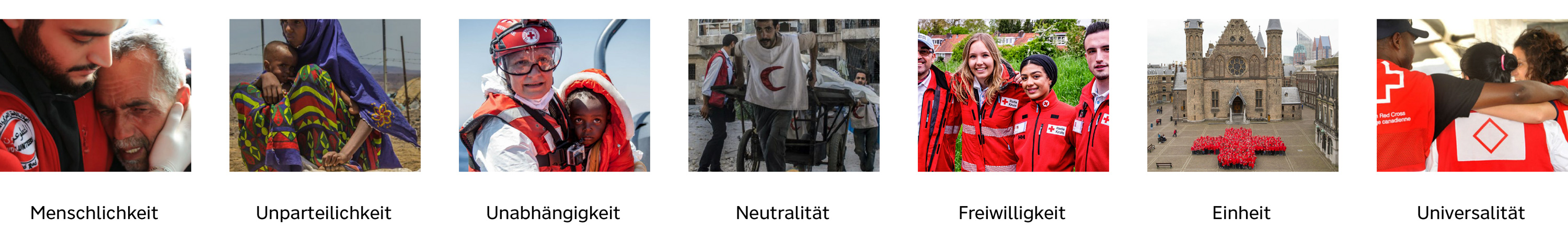 Rode Kruis Grundsätze Piktogramme