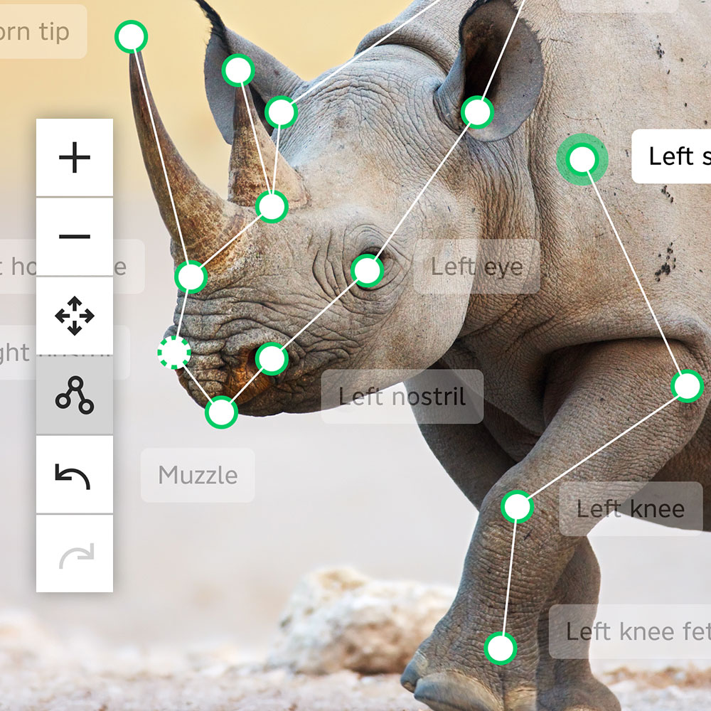 UX Design for annotation software interface
